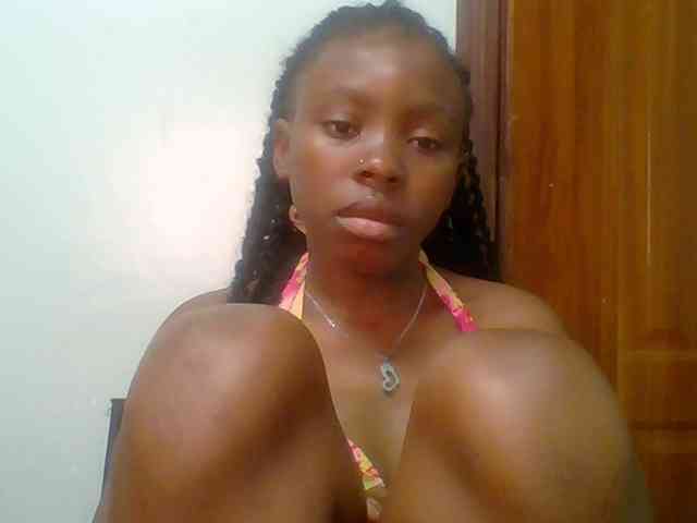 chocolate-brownie webcam