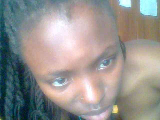 chocolate-brownie webcam