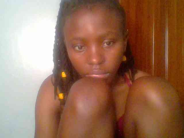 chocolate-brownie webcam