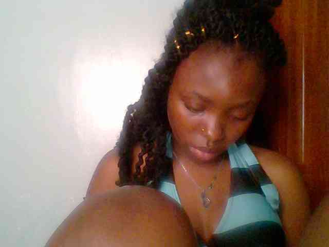 chocolate-brownie webcam