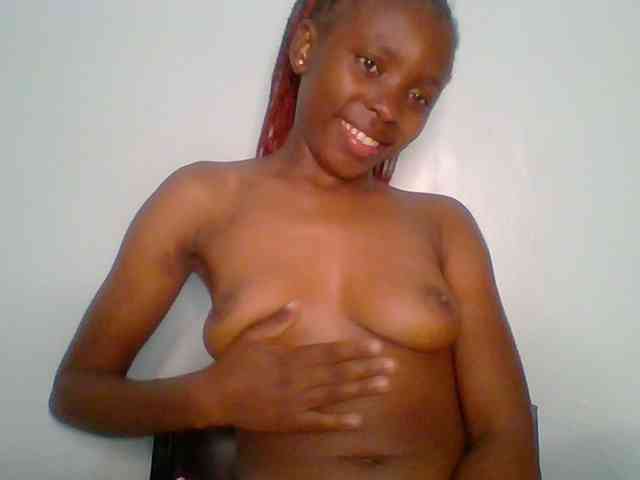 chocolate-brownie webcam