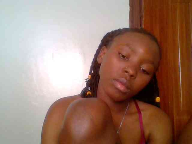 chocolate-brownie webcam