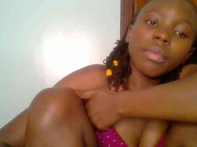 chocolate-brownie webcam