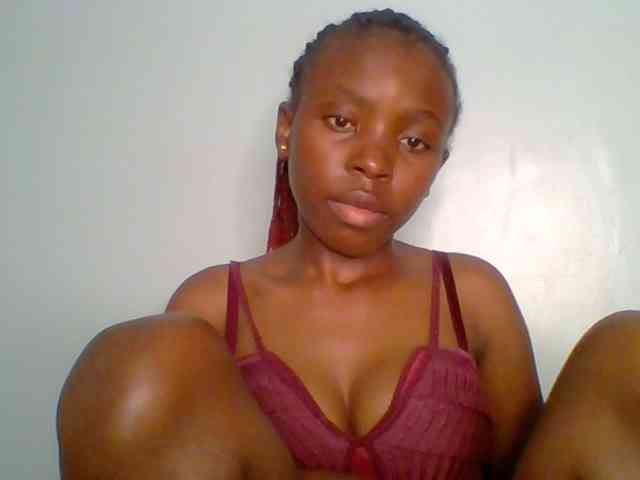 chocolate-brownie webcam