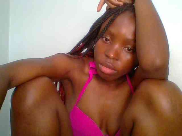 chocolate-brownie webcam