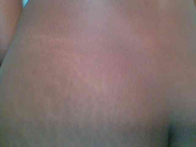 chocolate-brownie webcam