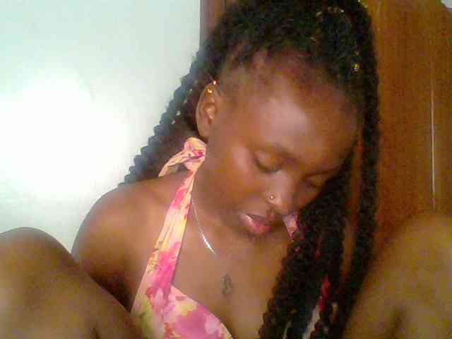 chocolate-brownie webcam