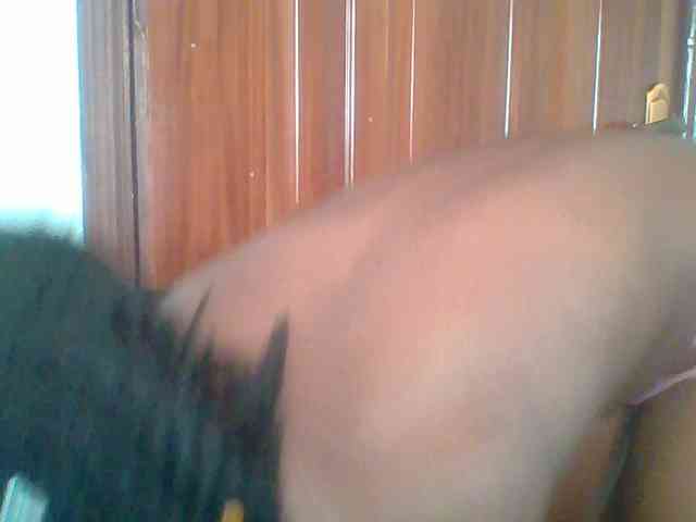 chocolate-brownie webcam