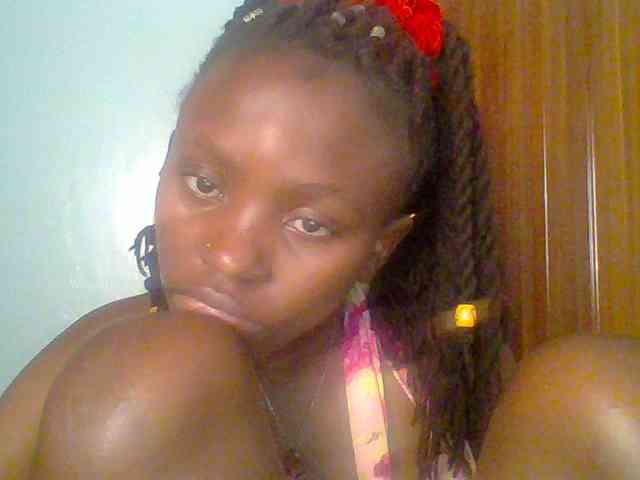 chocolate-brownie webcam