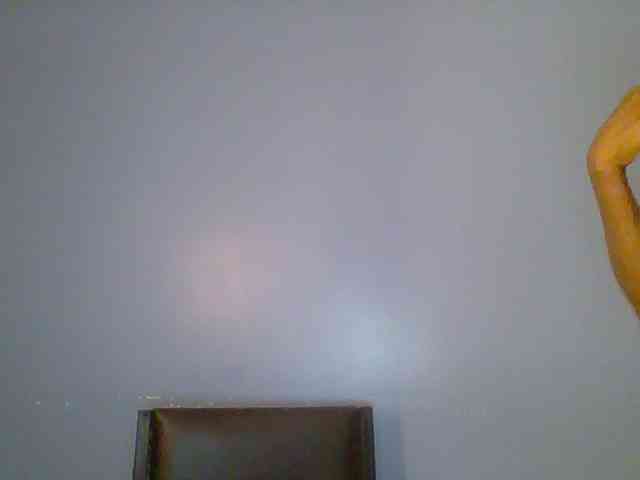 chocolate-brownie webcam