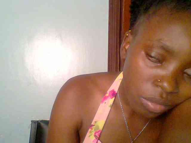 chocolate-brownie webcam