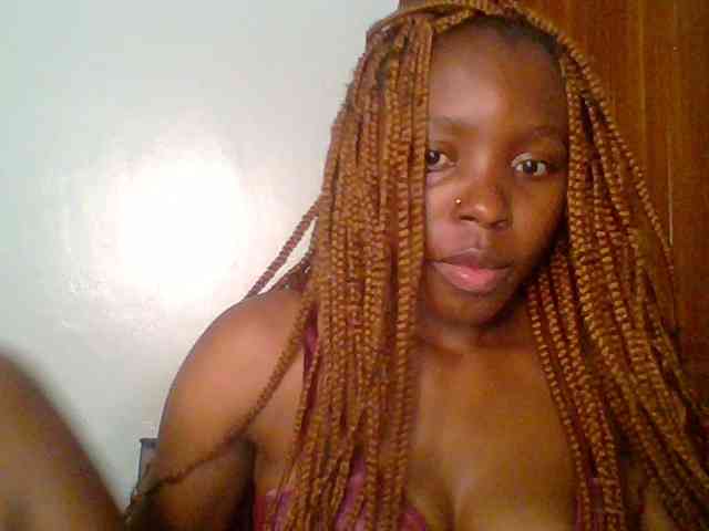 chocolate-brownie webcam