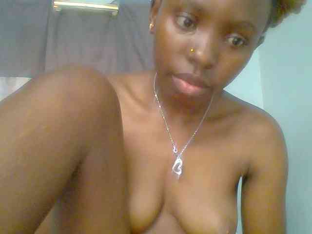 chocolate-brownie webcam