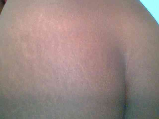 chocolate-brownie webcam