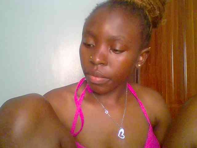 chocolate-brownie webcam