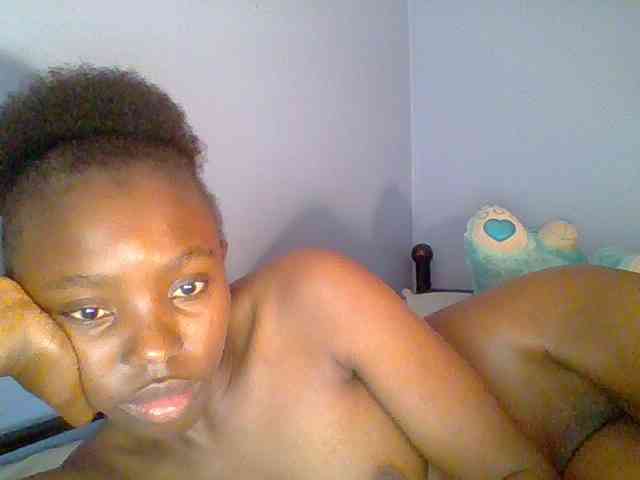 chocolate-brownie webcam