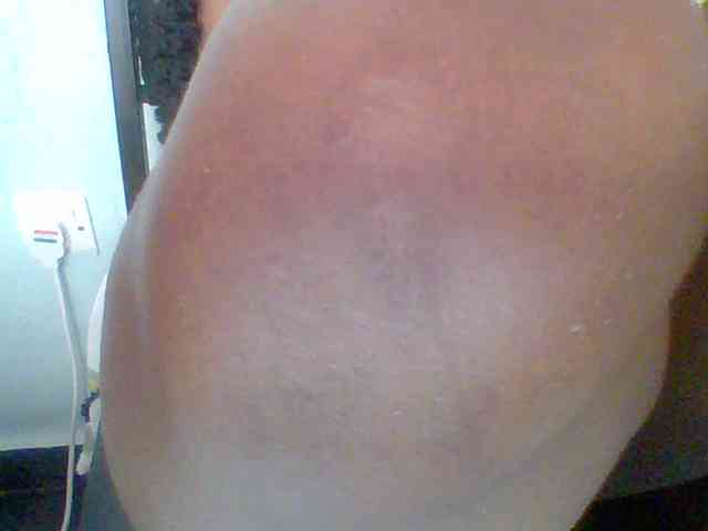 chocolate-brownie webcam