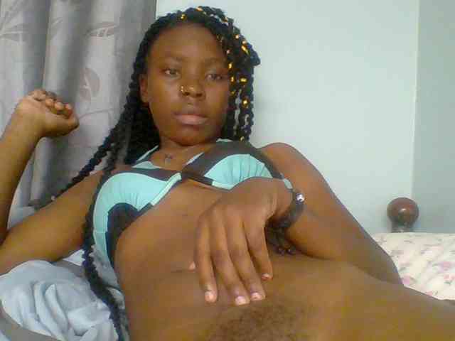 chocolate-brownie webcam