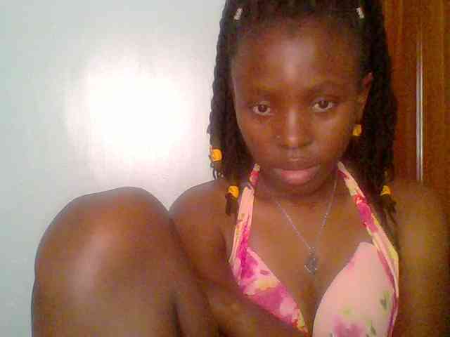 chocolate-brownie webcam