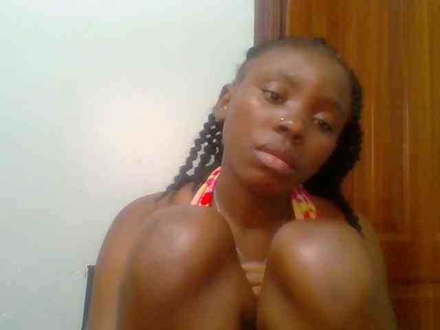 chocolate-brownie webcam