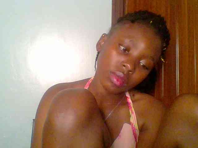 chocolate-brownie webcam