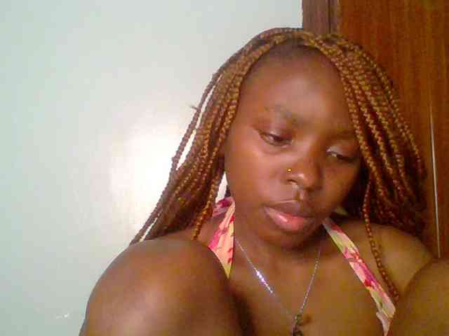 chocolate-brownie webcam