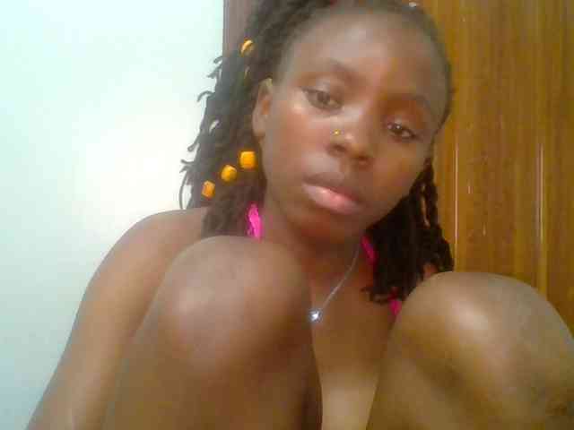 chocolate-brownie webcam