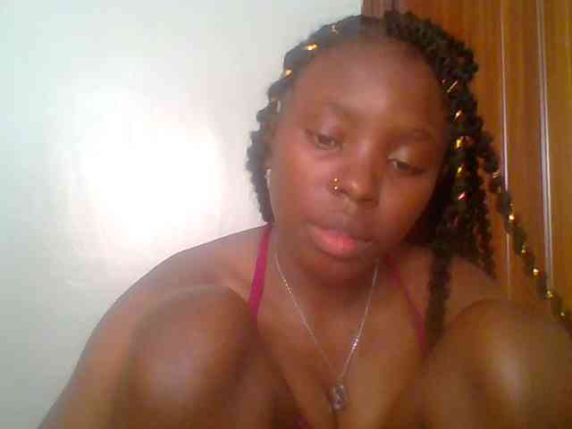 chocolate-brownie webcam