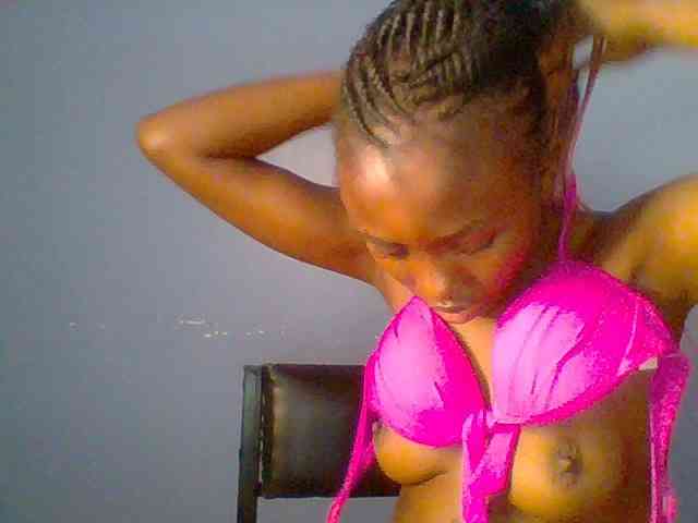 chocolate-brownie webcam