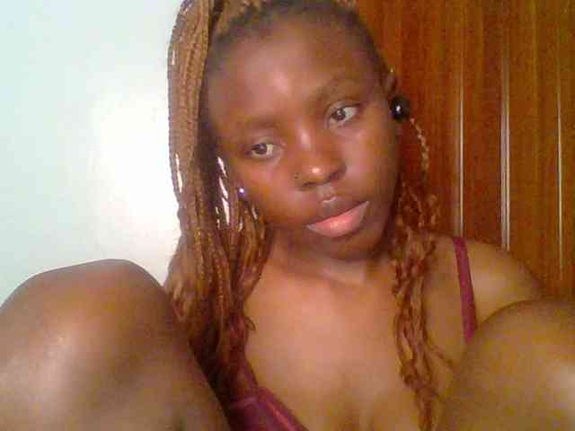 chocolate-brownie webcam