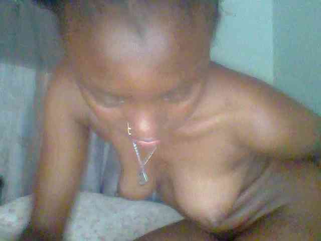 chocolate-brownie webcam