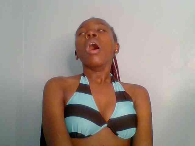 chocolate-brownie webcam