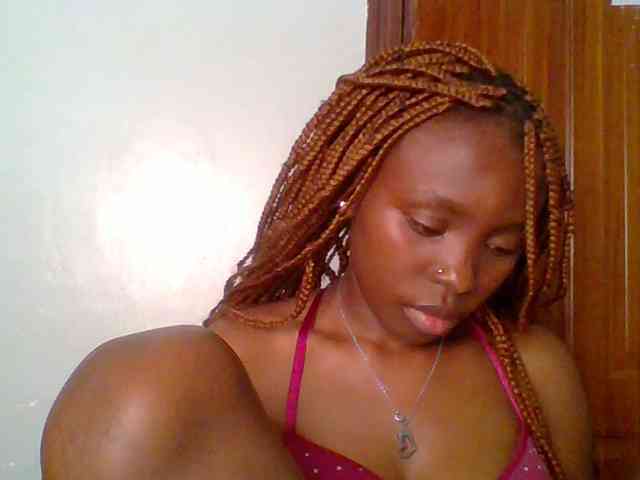 chocolate-brownie webcam