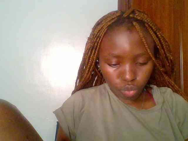 chocolate-brownie webcam