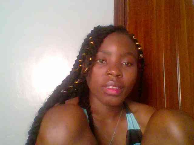 chocolate-brownie webcam