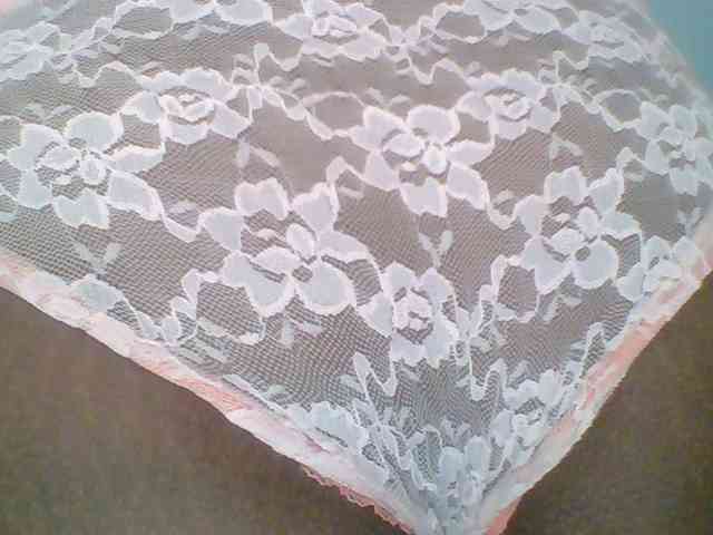 chocolate-brownie webcam