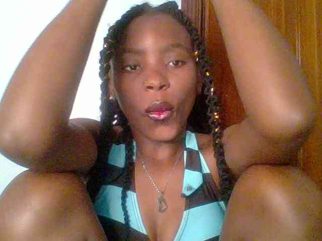 chocolate-brownie webcam