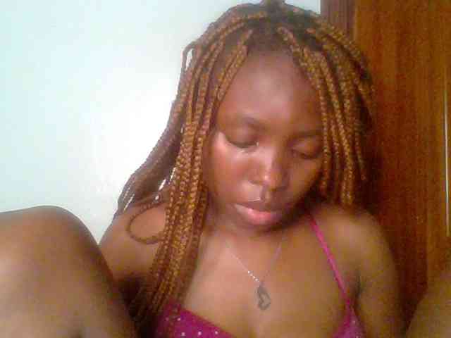 chocolate-brownie webcam