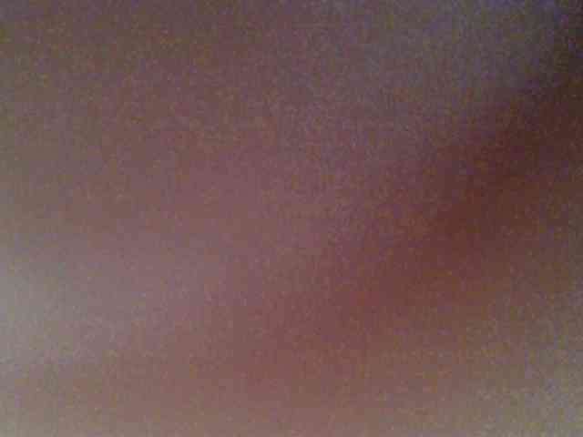 chocolate-brownie webcam