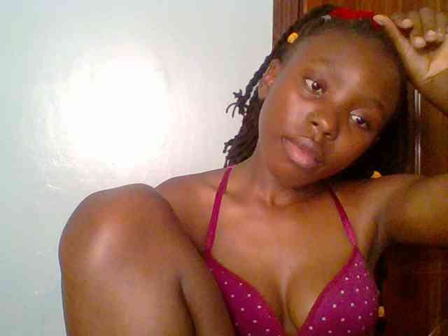 chocolate-brownie webcam