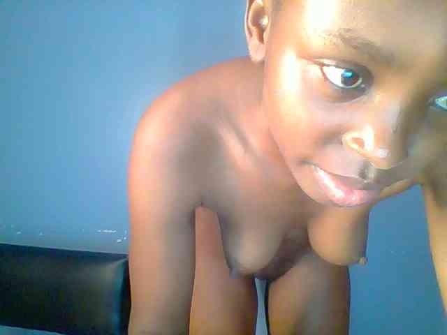 chocolate-brownie webcam