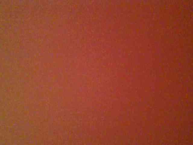 chocolate-brownie webcam