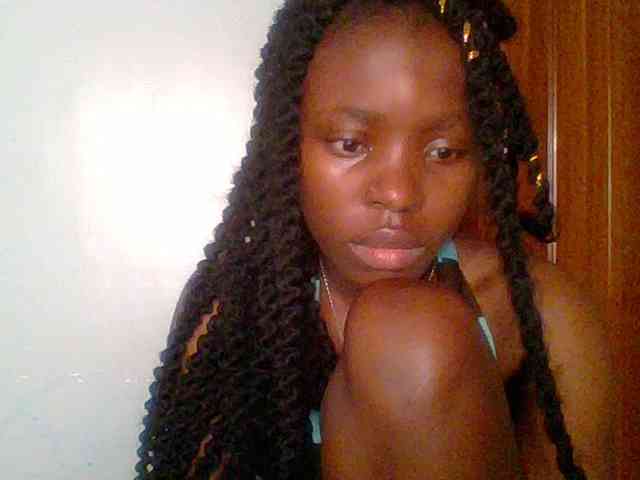 chocolate-brownie webcam