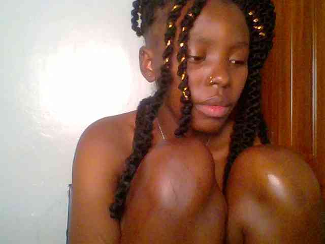 chocolate-brownie webcam