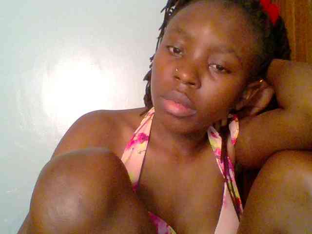 chocolate-brownie webcam