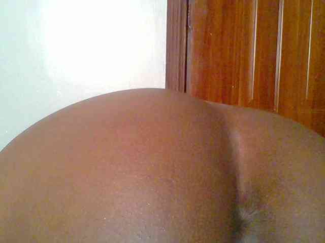 chocolate-brownie webcam