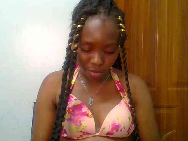 chocolate-brownie webcam