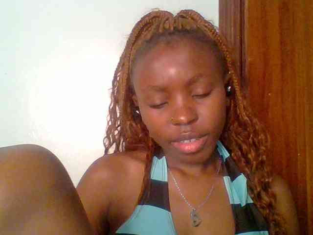 chocolate-brownie webcam