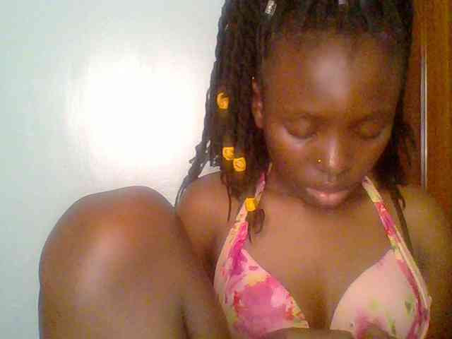 chocolate-brownie webcam