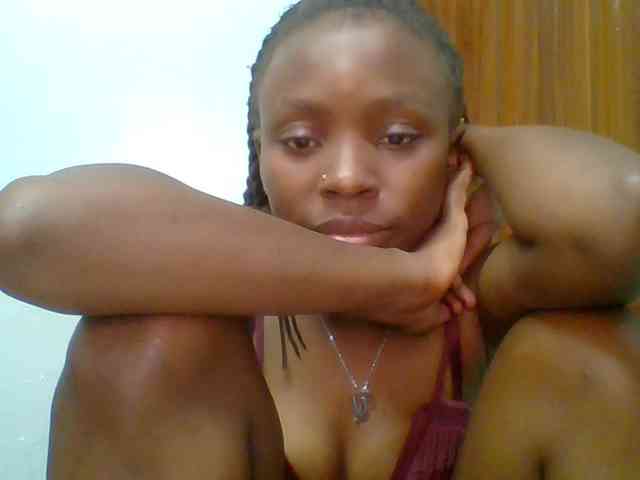 chocolate-brownie webcam